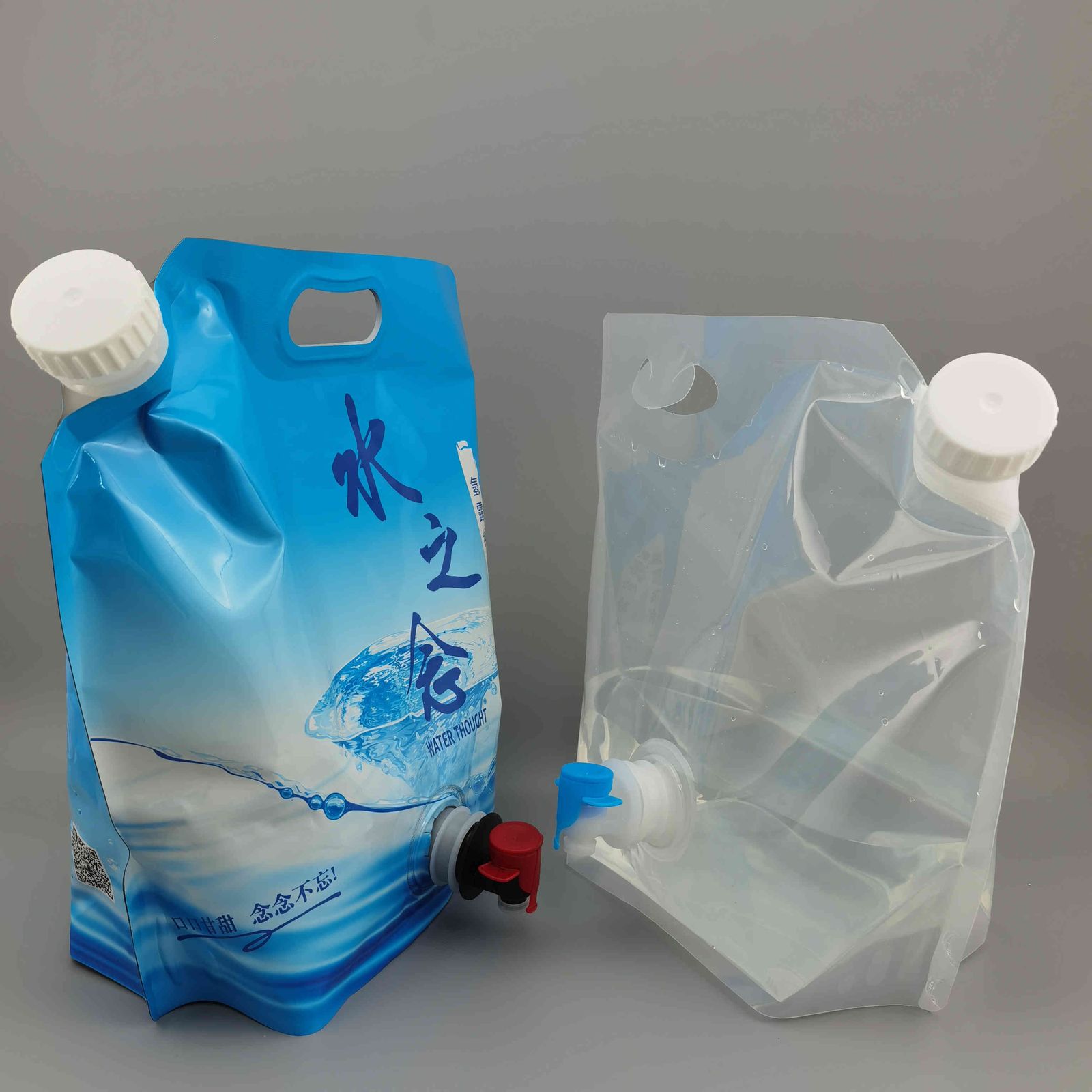 Custom Stand-up Pouch with Spout, Large Capacity for Liquids