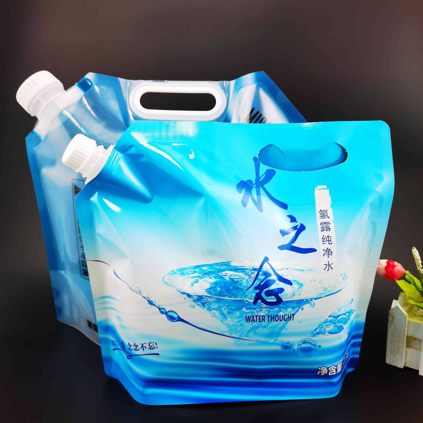 Custom Stand-up Spout Pouch 1–10 L for Mineral Water and Spring Water
