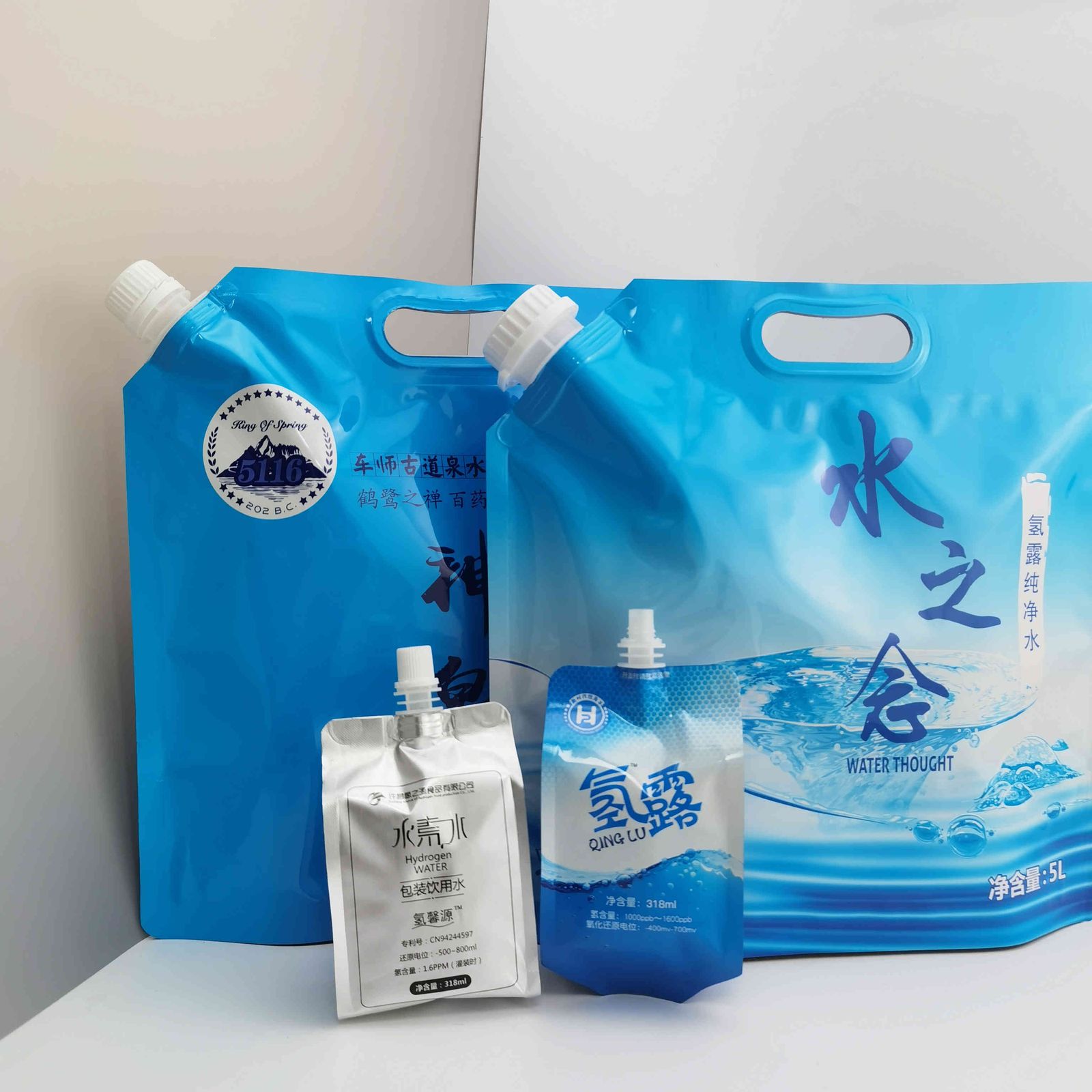 Custom Food-Grade Liquid Packaging Pouch 1–20 L with Spout for Liquids