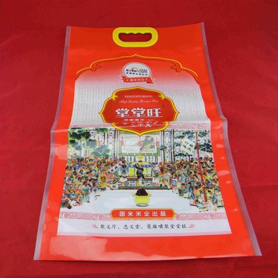 Custom Nylon (PA) Rice Pouch 5 kg, Colour-Printed, with Carry Handle